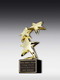 Constellation Award 250mm