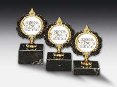 Metal trophy for plastic relief