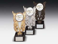 Metal trophy for centre