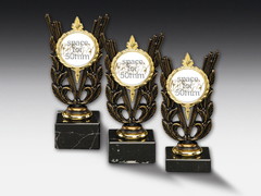 Metal trophy for plastic relief