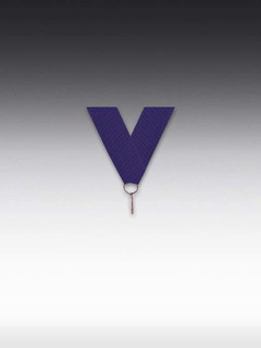 Band Violett, LxB: 80 x 2,2cm