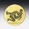 Aluminum centre Wrestling (male)