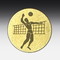 Aluminum centre Volleyball (male)