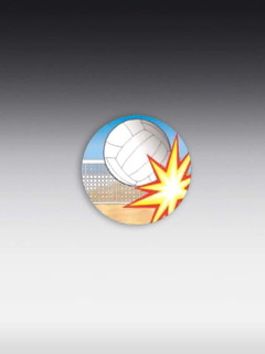 Holographix-Emblem Volleyball