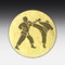 Aluminum centre Taekwondo