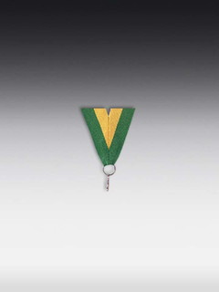 Band Grün-Gelb, LxB: 80 x 2,2cm