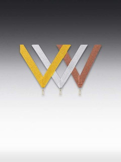 Band Silber, LxB: 80 x 2,2cm