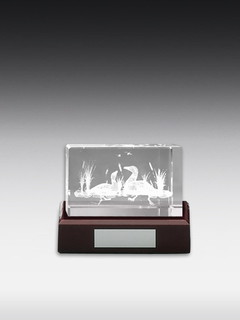 3D-Laserinnengravur Ente