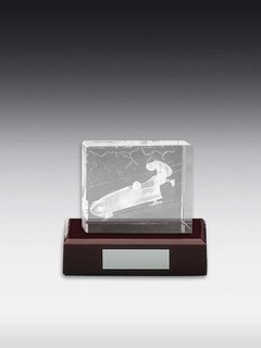 3D-Laserinnengravur Bobfahren (Zweierbob)