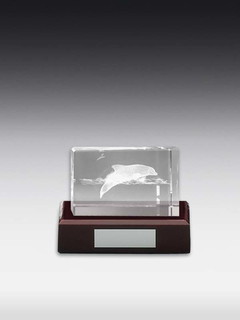 3D-Laserinnengravur Delphin