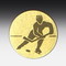 Aluminum centre Ice hockey