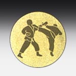 Aluminum centre Taekwondo