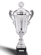 Pokal Silver Champion
