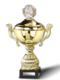 Pokal Gold Star