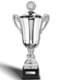 Pokal Champion