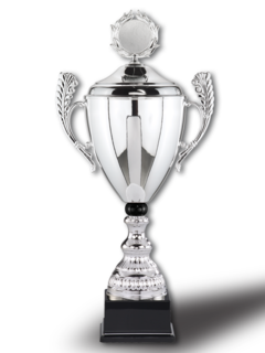 Cup with handles SilverBlack-Star