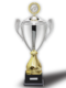 Pokal Winner