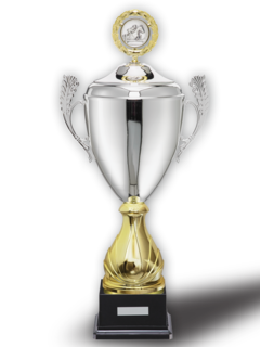 Cup Winner