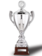 Henkelpokal Silver-Star