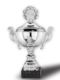 Cup Silver Star