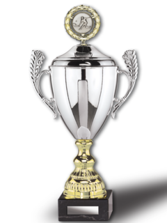 Cup with handles Silver-Gold