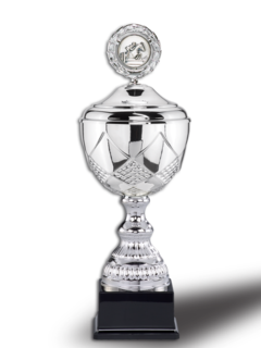 Pokal Pur-Silver