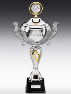Cup Golden Stripe