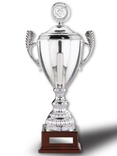 Henkelpokal Silver-Star