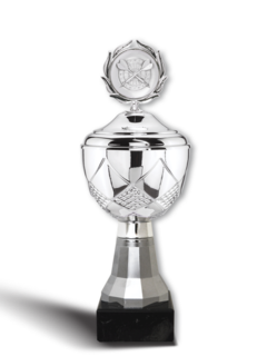 Economic-Class-Cup Sport