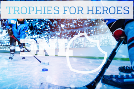 Die Neue Linie made in Germany Trophäen und Awards